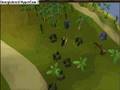 Tour of Crandor Part 1 [RS]