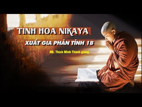 Tinh Hoa NIKAYA - Xuất Gia Phản Tỉnh 1B