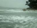 tempete Novembre 2008.wmv tempete Novembre 2008.wmv