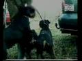 videos de Hubertus