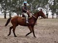 Caballo Dos - La Asuncion 54 Caballo Dos - La Asuncion 54