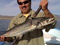 Great sierra fishing Nov. 21-08 w/ Tailhunter International Great sierra fishing Nov. 21-08 w/ Tailhunter International