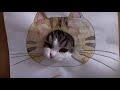 穴とねこ4。-A hole and Maru 4.-