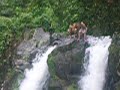 Another MODCO Jump @ NagCarlan Bunga Falls