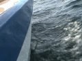 Des bruits du voilier : Mousquetaire en croisière.
