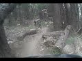 Downieville clip34 40 - 