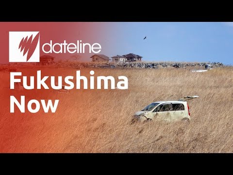 Fukushima - Dateline visits one of the most contaminated places on earth - the ghost towns around Fukushima - to see the effect of the nuclear meltdown two years on. For...