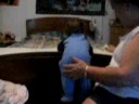 Braylen crawling up on his grandmas bed