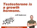 Optimum Anabolics - Testosterone's Role