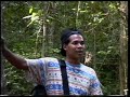 PAHANG - Tasik Chini (1/2) PAHANG - Tasik Chini (1/2)