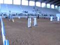 videos de Cooper really nice AKC Std.mpg