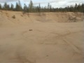 HPI E-Firestorm 10T brushless with sand paddles