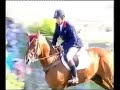 Arko -No 1 Showjumping stallion FEI WBFSH 2005 &amp; 2006