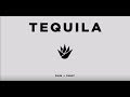 Dan+Shay- Tequila Lyrics *NEW SINGLE upcoming 3rd album*
