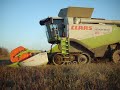 Lexion 600 Terra-Trac soia