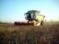 videos de Lexion 600 Terra-Trac soia