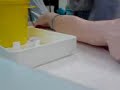 Cannulation Cannulation