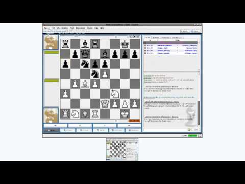 magnus carlsen
