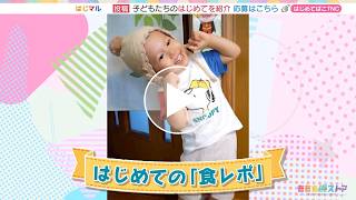 動画のサムネイル