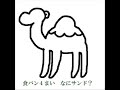 ラクダ動画