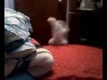 videos de I Feel Good