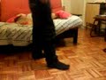 /lukqitasss11 baila de nuevo :$ /lukqitasss11 baila de nuevo :$