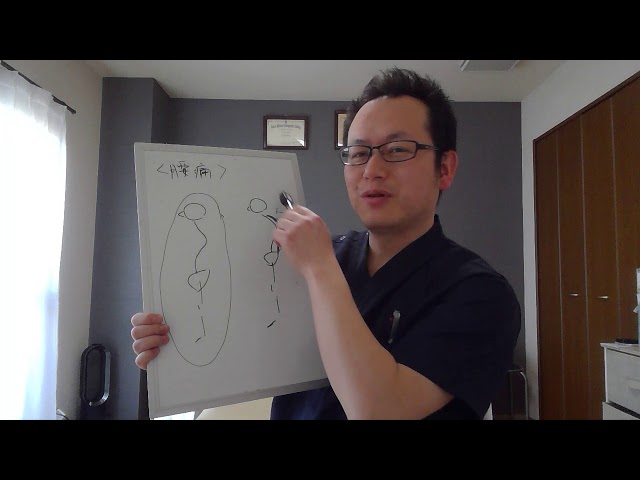 橿原市腰痛　『腰痛の原因は腰にはない！』ってほんと？