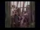 OCORRÊNCIA CRIMINAL - CADÊ O AMOR OCORRÊNCIA CRIMINAL - CADÊ O AMOR