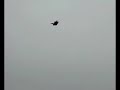 Flying Lawnmower, The Sky Cutter. Flying Lawnmower, The Sky Cutter.
