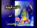 shazdeh koocholo  شازده کوچولو