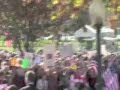 Tea Partiers Mistakenly Kill Man Named Bill - TheNationalProtrusion.com