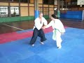 Tsuzukiwaza 6 - Ushiro Waza