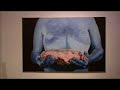 Meat Art Show