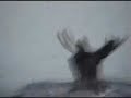 moose swimming kipawa lake