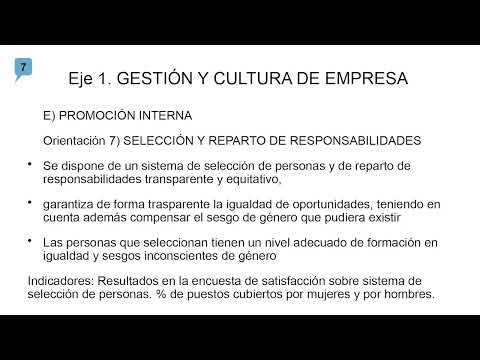 05 VIDEOPÍLDORA. Selección y reparto de responsabilidades. Promoción interna