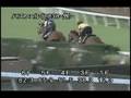 videos de [調教] 080723 ハスフェル 「関越ステークス」前追い切り
