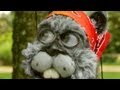 Coco D Nut I'm Just A Squirrel, Trying To Get A Nut Official Music Video and Lyrics