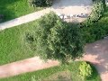 FPV over appletrees&stuff