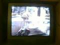 me and nats123 playing gears of war 2