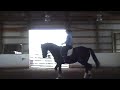 Contact Saddles / Helm Saddles