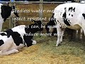 Watch What You Eat
