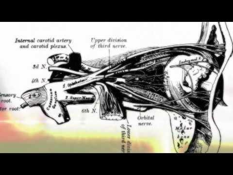 Vid�o de Isaac Marion
