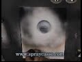 Eye -c- u * INTERMEDIATE spraypaint tutorial Eye -c- u * INTERMEDIATE spraypaint tutorial