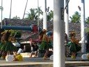 havaianinhas dan�ando hula