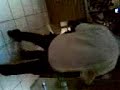 topy el tronco topy el tronco