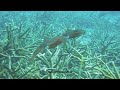 Bonaire 2009