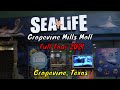 Sea Life Grapevine Aquarium Grapevine Tx
