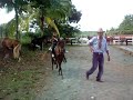 Cabalgata, Rio Grande PR 2008 Cabalgata, Rio Grande PR 2008