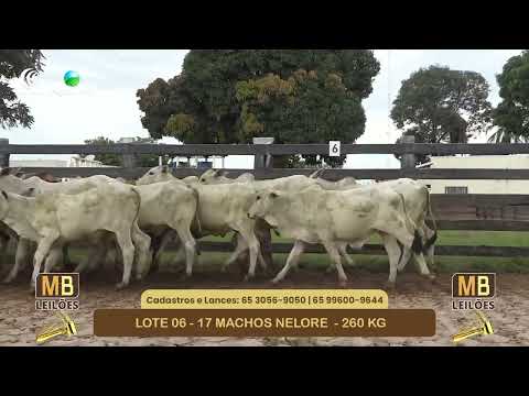 543� LEIL�O VIRTUAL MB LEIL�ES