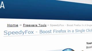Видео-руководство по работе со SpeedyFox